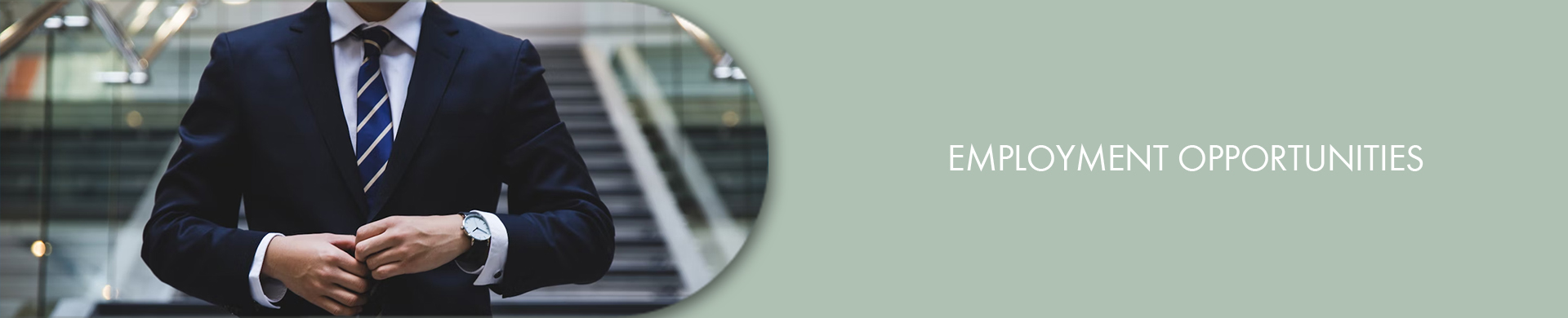 CityU Law, Student Career Development, PDPS